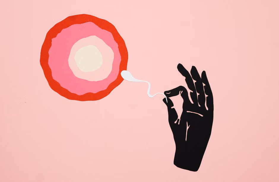 Illustration depicting fertilization with ovum and sperm on a pink background.